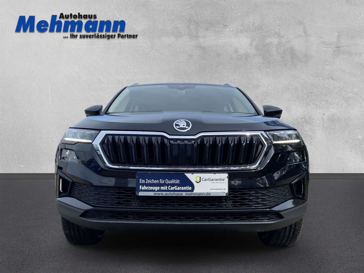 Fahrzeugbild eines Skoda Karoq