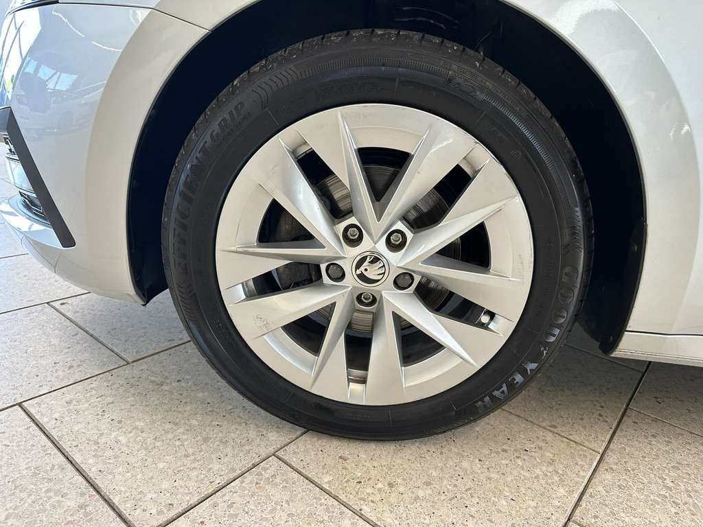Fahrzeugbild eines Skoda Octavia
