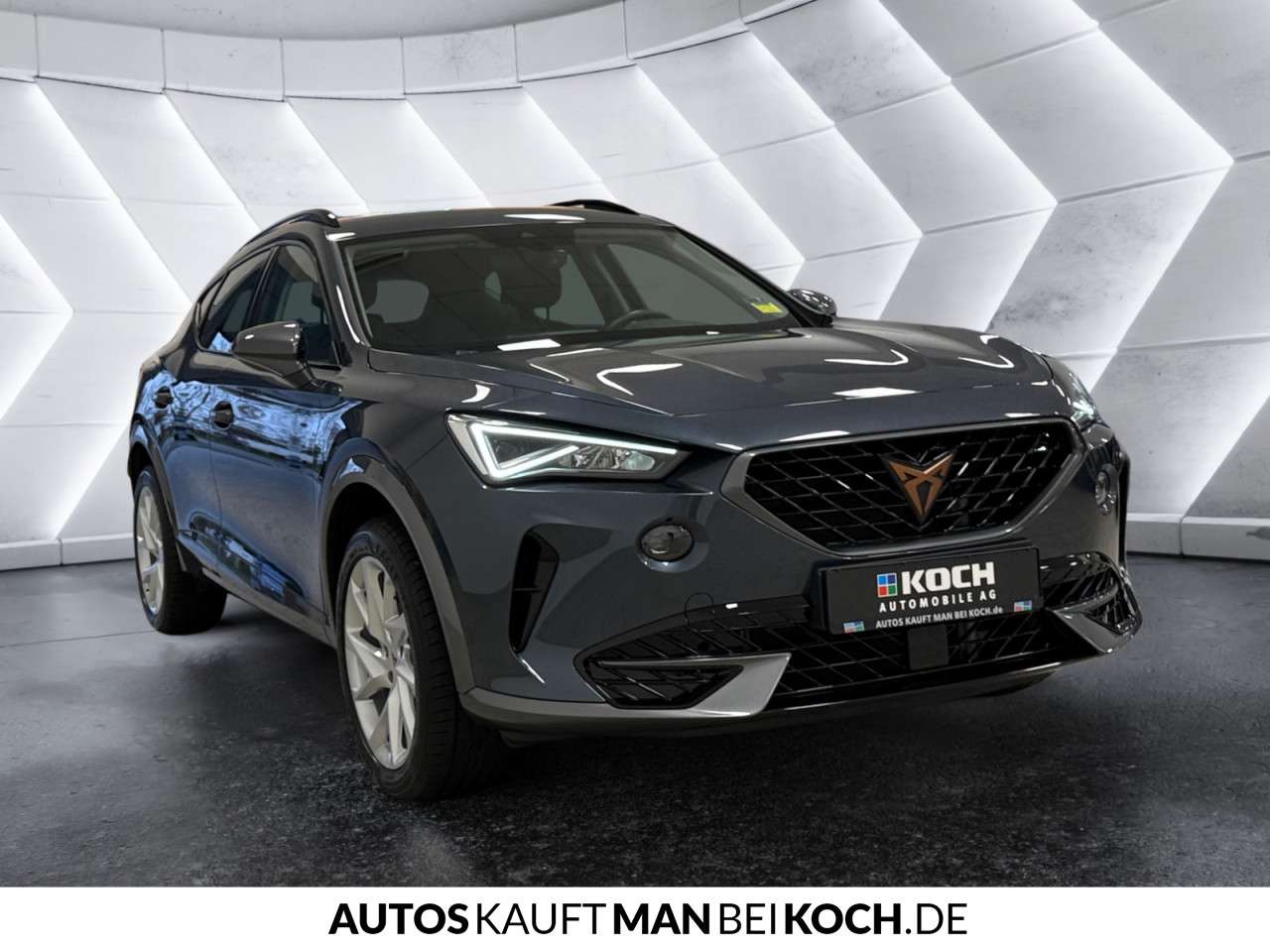 Fahrzeugbild eines CUPRA Formentor