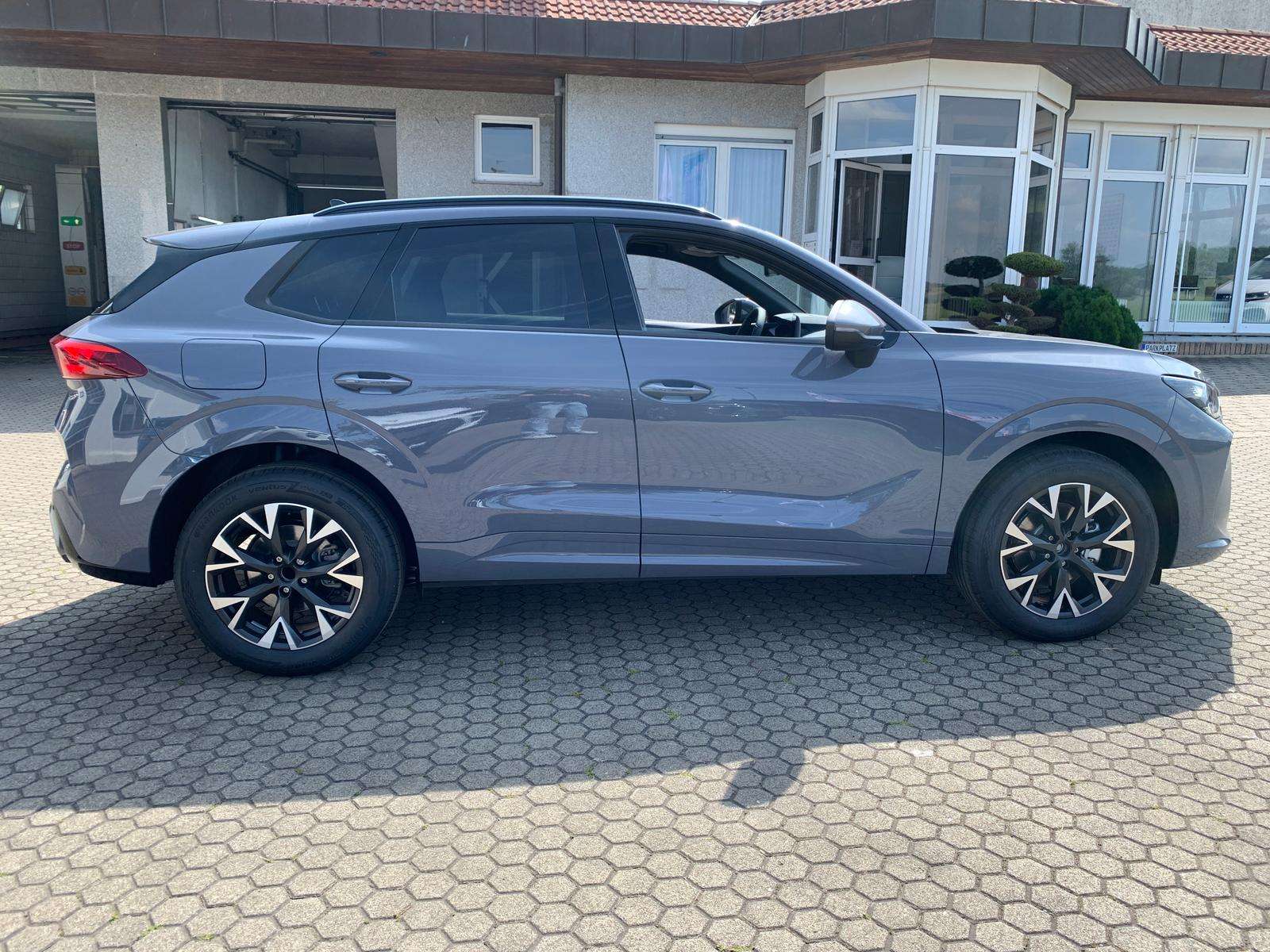 Fahrzeugbild eines CUPRA Terramar