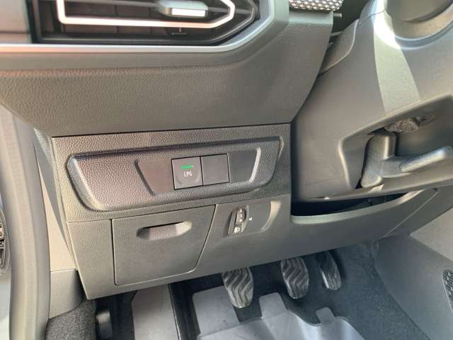 Fahrzeugbild eines Dacia Sandero