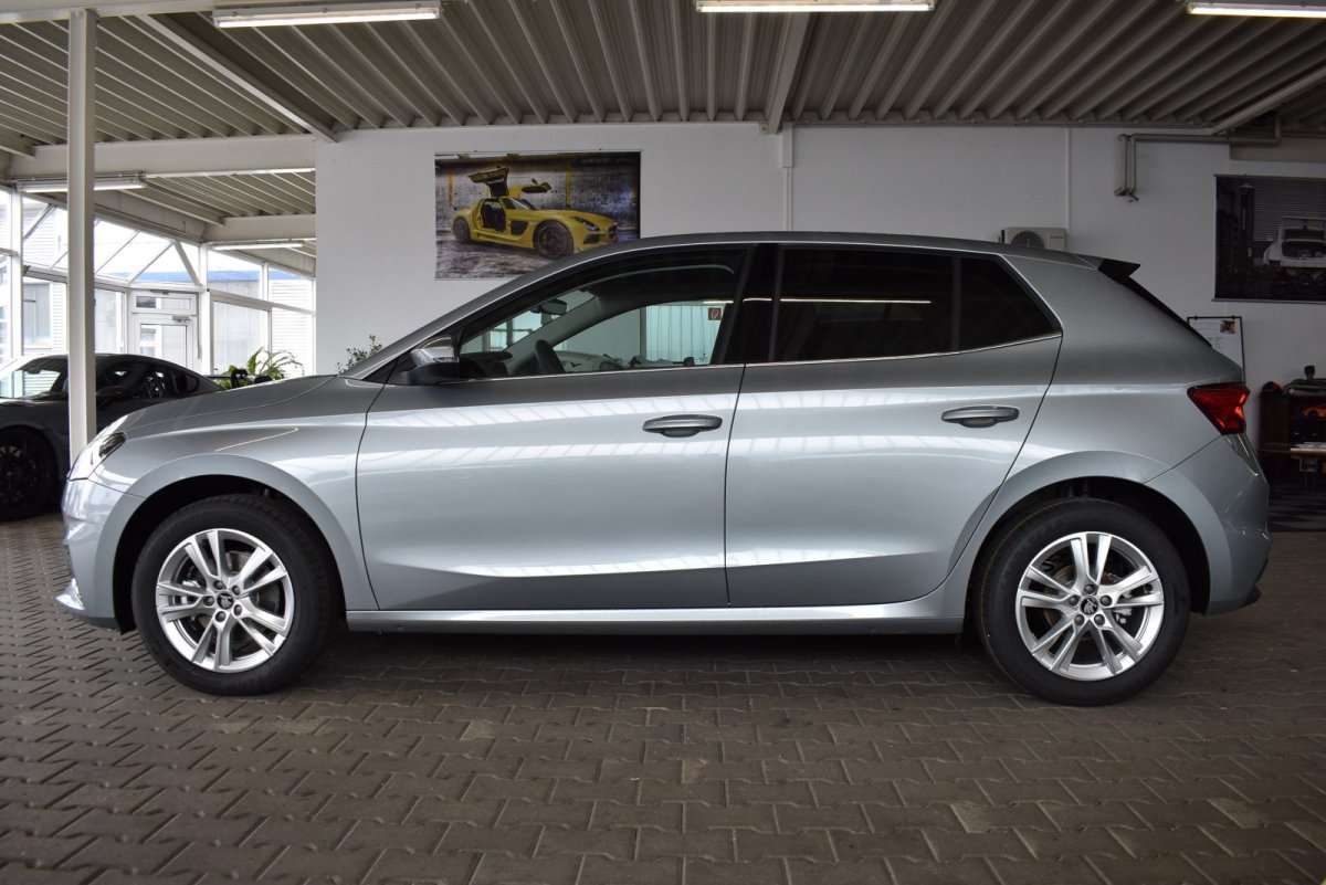 Fahrzeugbild eines Skoda Fabia