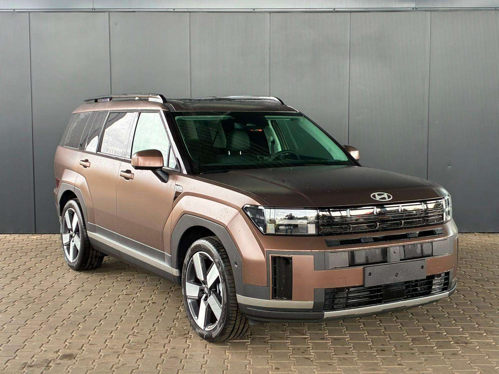 Fahrzeugbild eines Hyundai Santa Fe