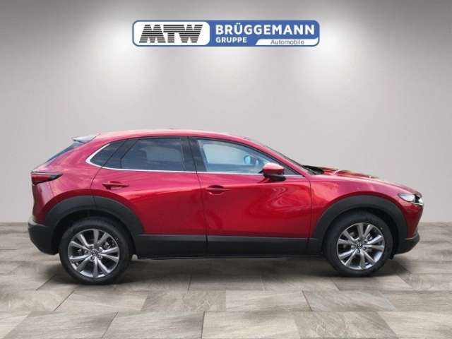 Fahrzeugbild eines Mazda CX-30