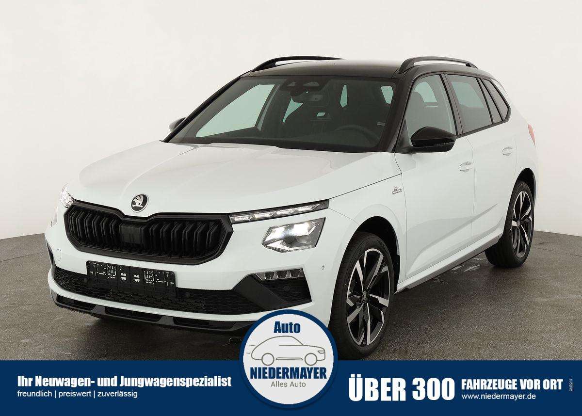 Fahrzeugbild eines Skoda Kamiq