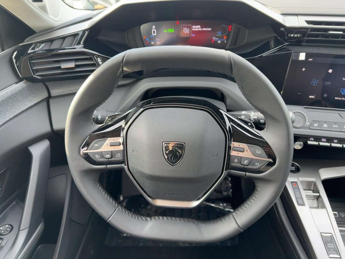 Fahrzeugbild eines Peugeot 308