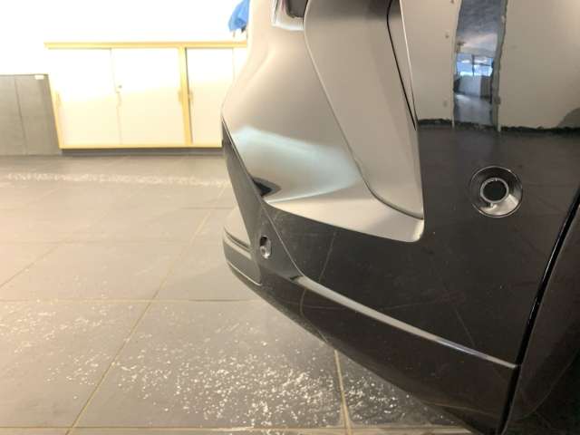 Fahrzeugbild eines Renault Austral