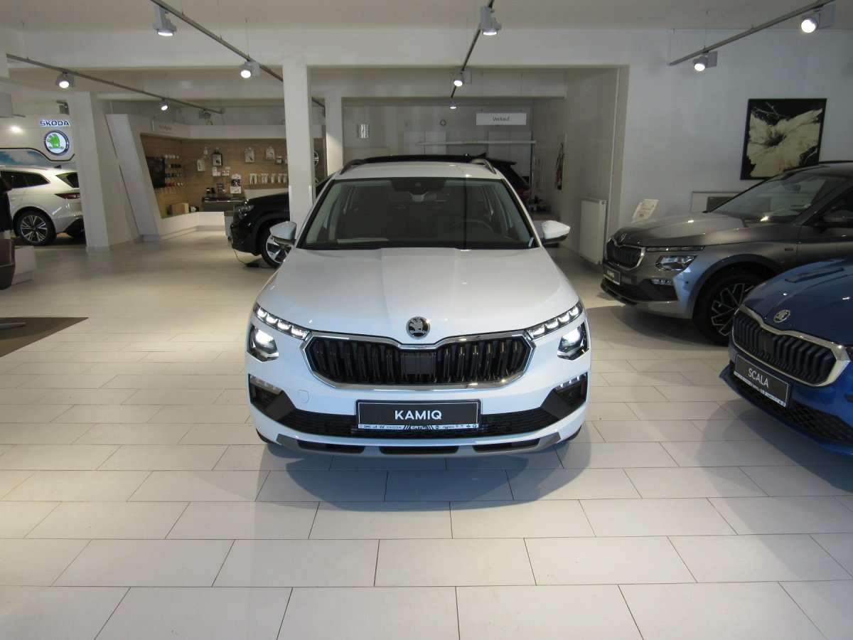 Fahrzeugbild eines Skoda Kamiq