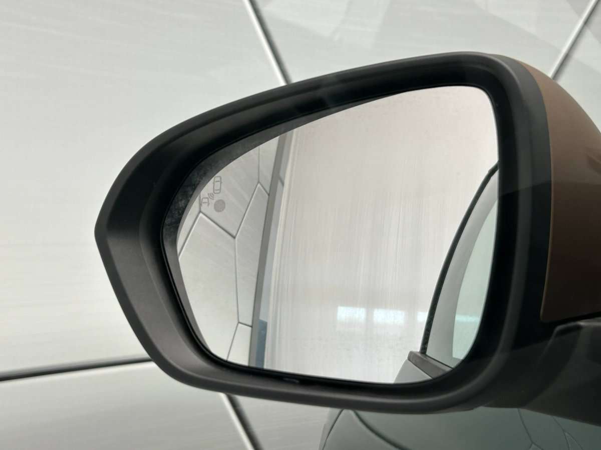 Fahrzeugbild eines Dacia Sandero