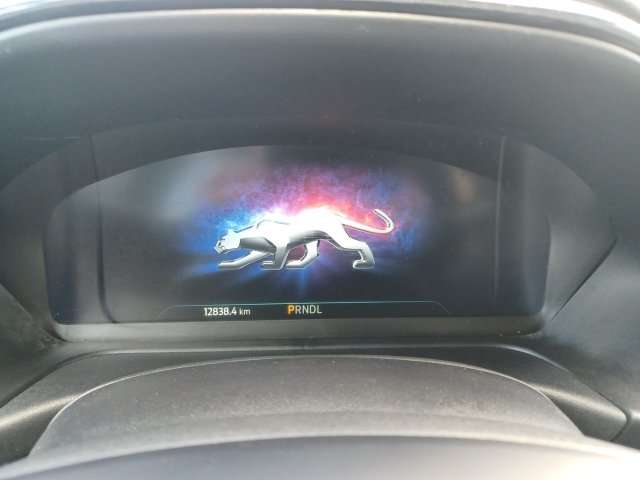 Fahrzeugbild eines Ford Puma