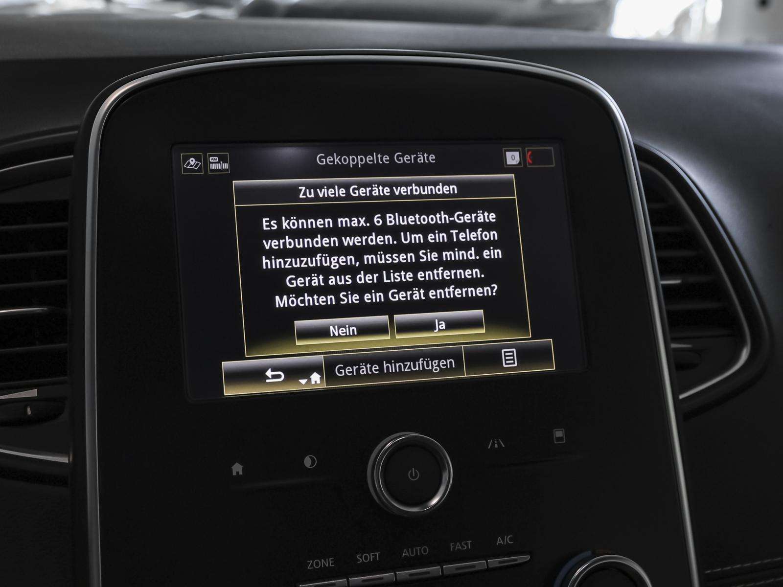 Fahrzeugbild eines Renault Scénic