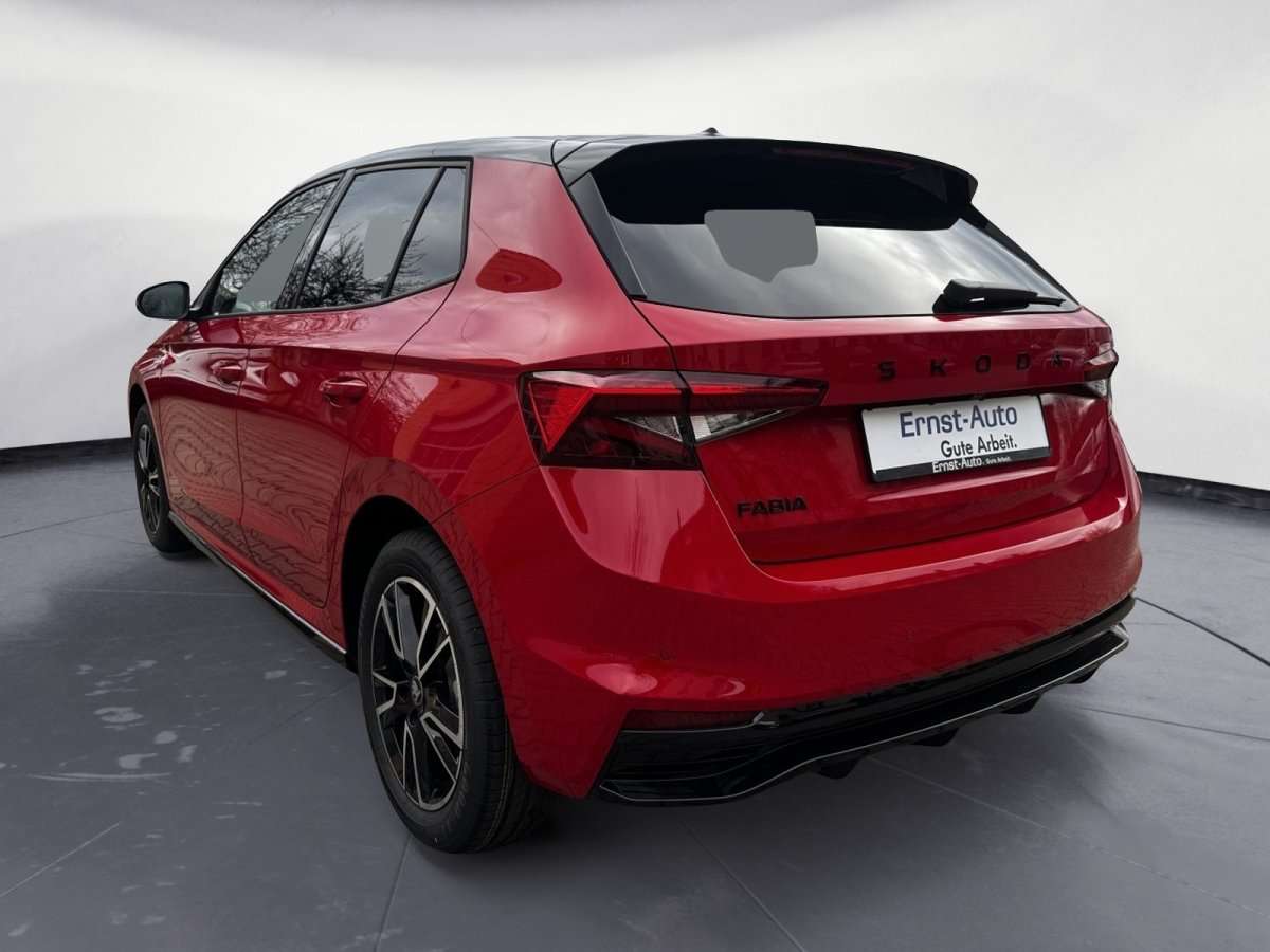 Fahrzeugbild eines Skoda Fabia