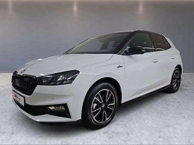 Fahrzeugbild eines Skoda Fabia