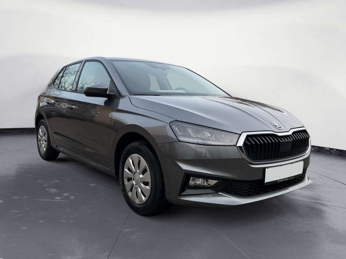 Fahrzeugbild eines Skoda Fabia