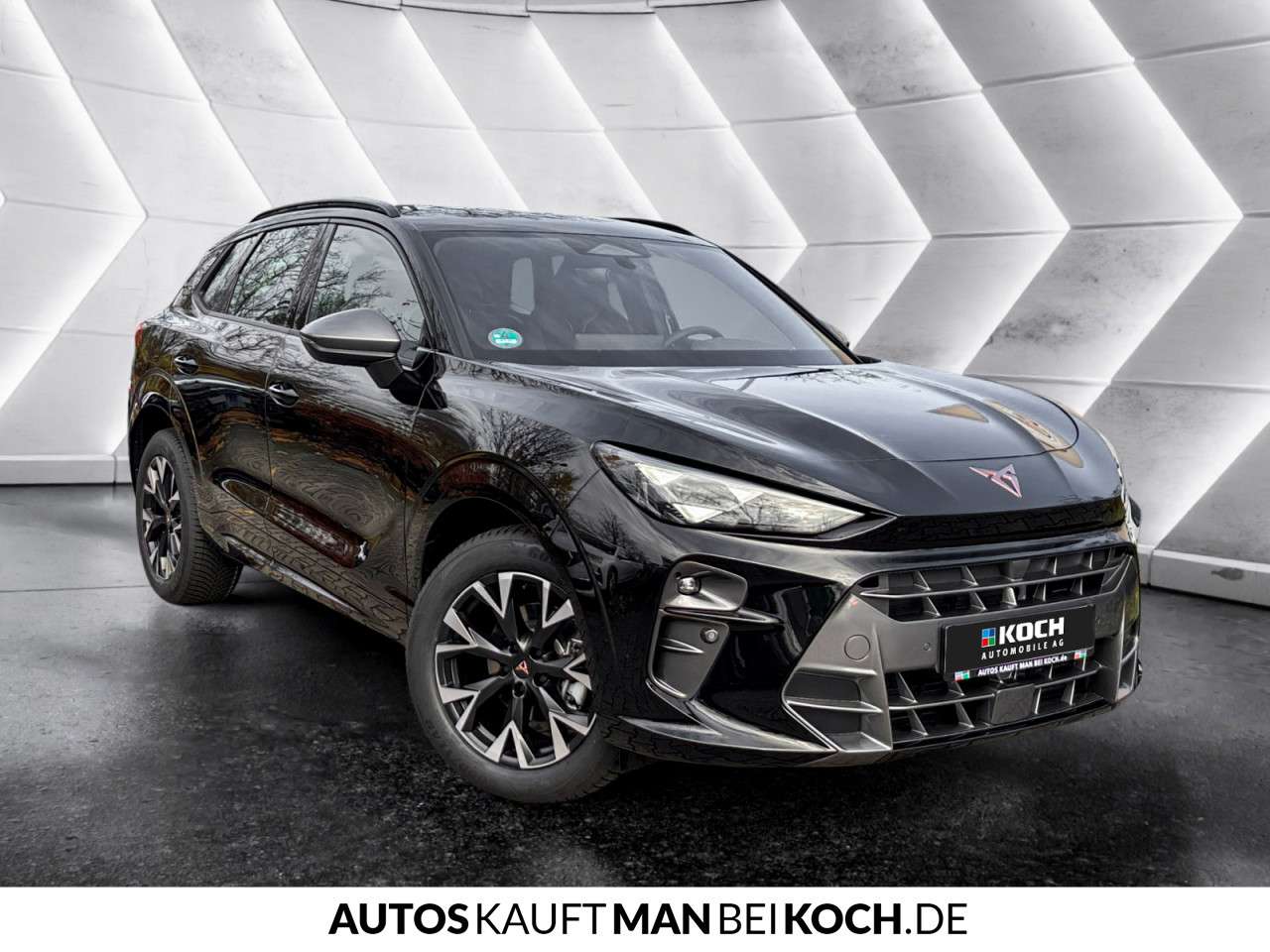 Fahrzeugbild eines CUPRA Terramar