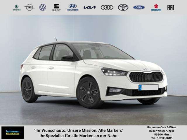 Fahrzeugbild eines Skoda Fabia