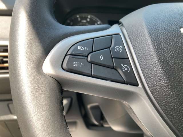 Fahrzeugbild eines Dacia Sandero