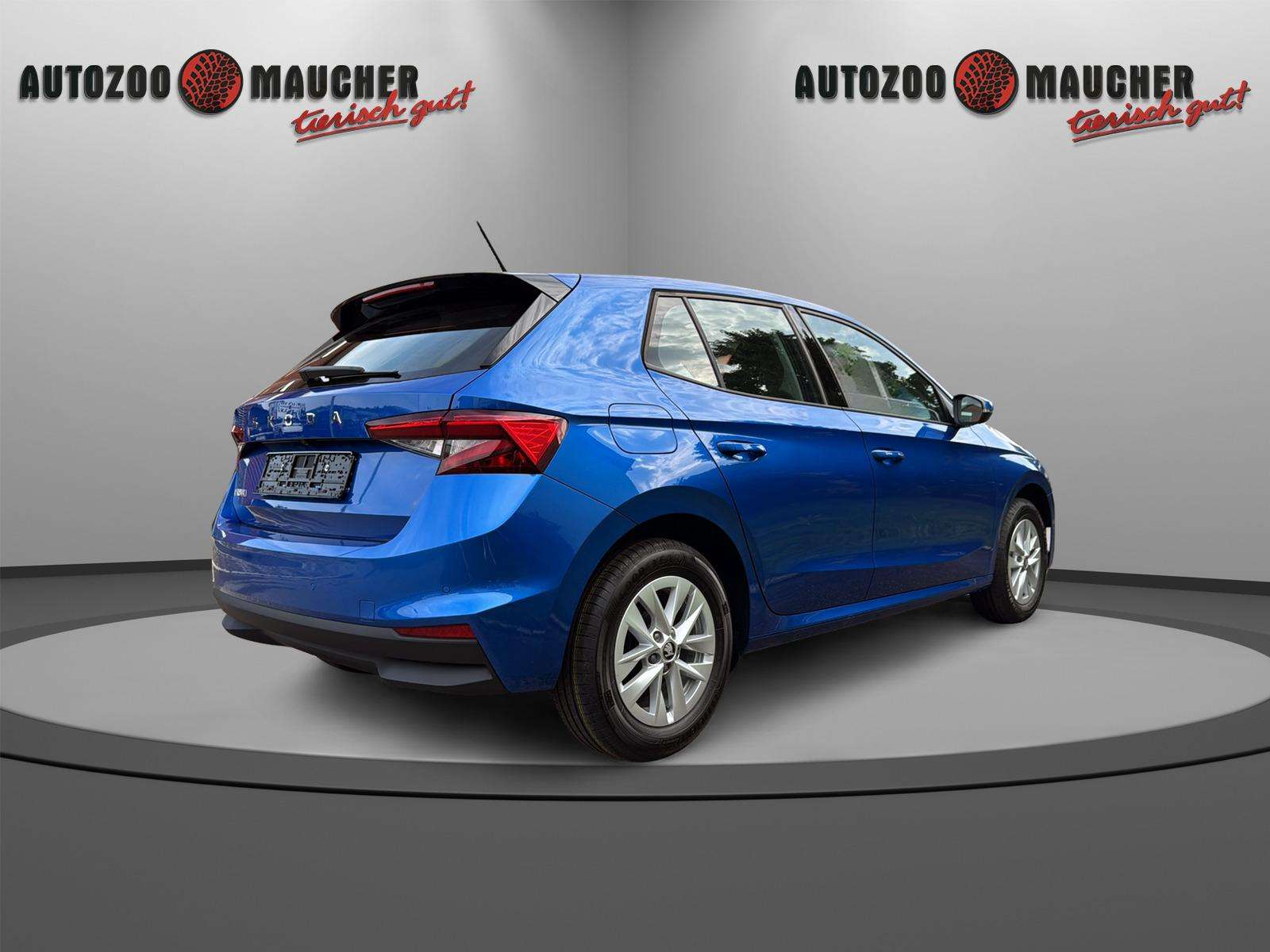 Fahrzeugbild eines Skoda Fabia