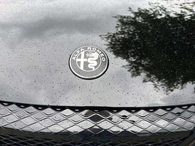 Fahrzeugbild eines Alfa Romeo Junior