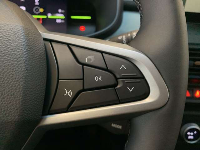 Fahrzeugbild eines Dacia Sandero