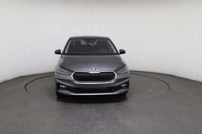 Fahrzeugbild eines Skoda Fabia