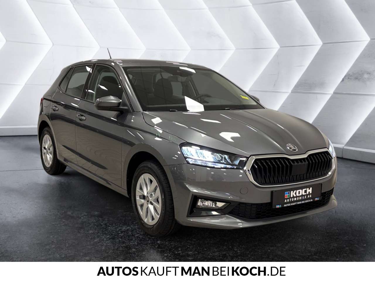 Fahrzeugbild eines Skoda Fabia