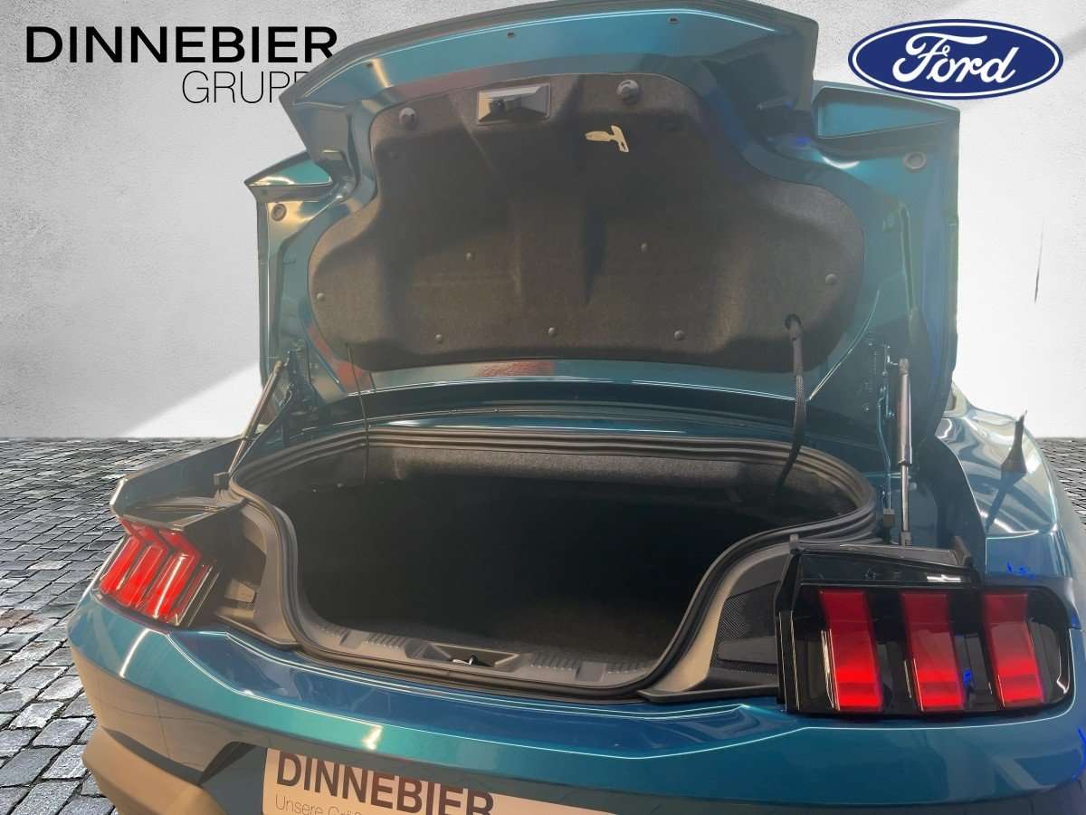 Fahrzeugbild eines Ford Mustang