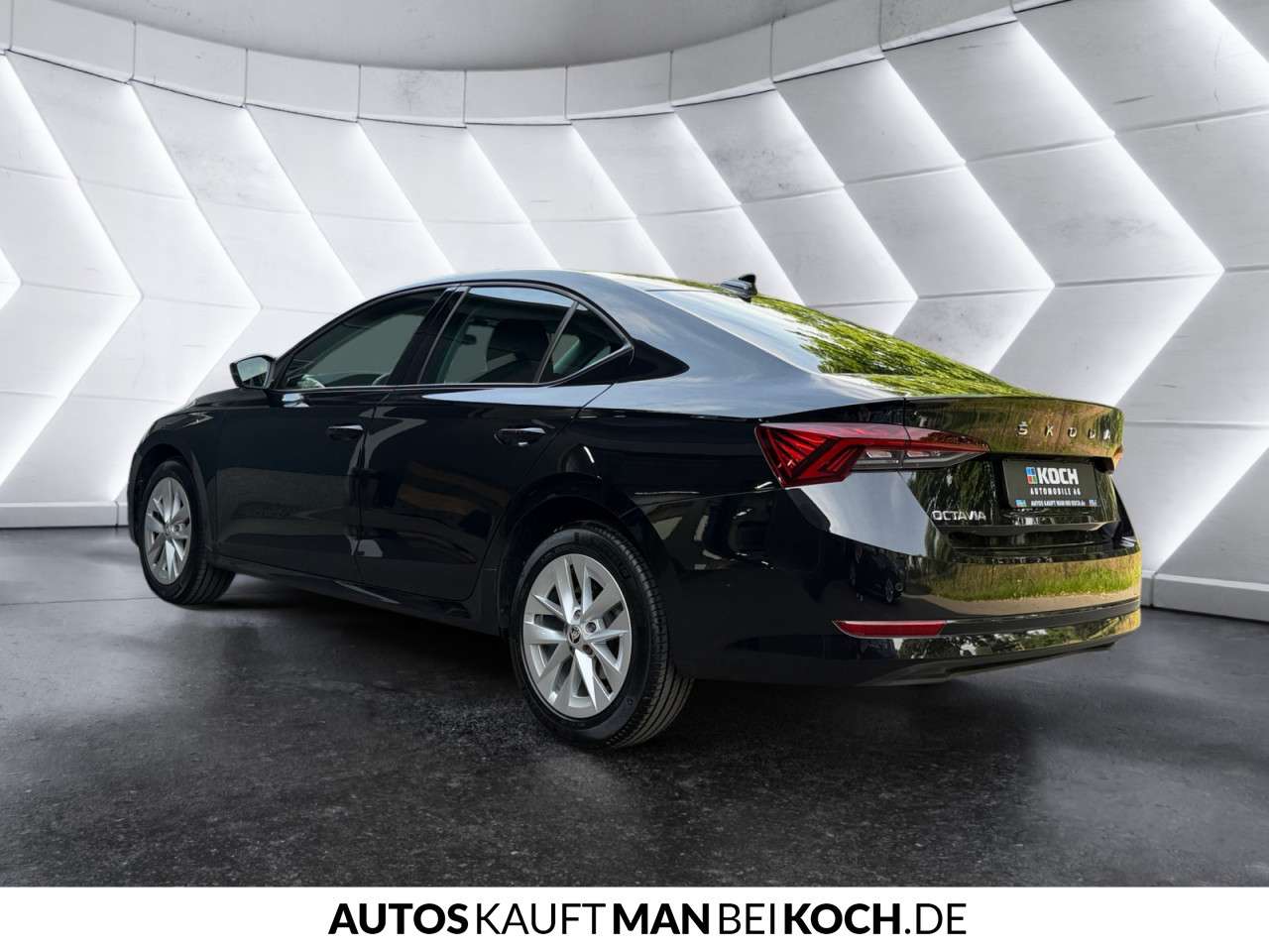 Fahrzeugbild eines Skoda Octavia
