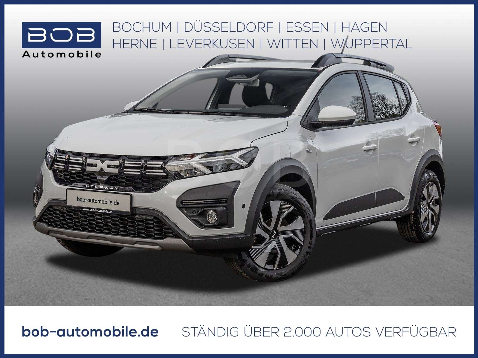 Fahrzeugbild eines Dacia Sandero