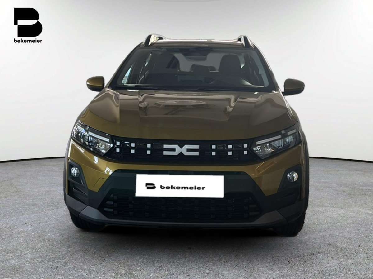 Fahrzeugbild eines Dacia Sandero