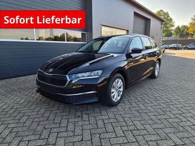 Bild Skoda Octavia