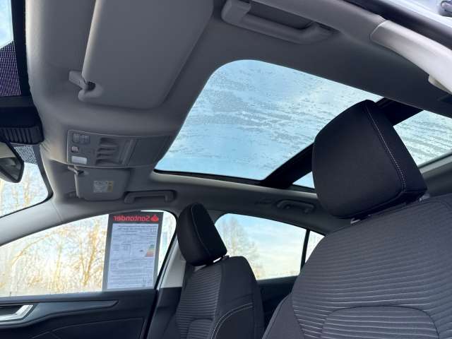 Fahrzeugbild eines Ford Focus