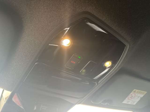 Fahrzeugbild eines Renault Austral