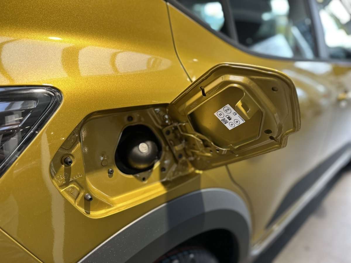 Fahrzeugbild eines Dacia Sandero