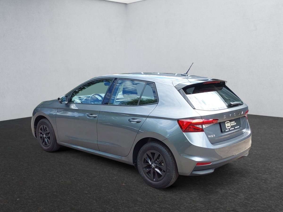 Fahrzeugbild eines Skoda Fabia