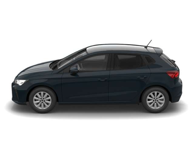 Fahrzeugbild eines SEAT Ibiza