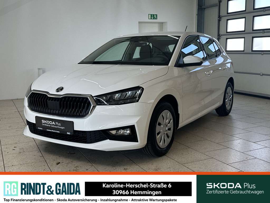 Fahrzeugbild eines Skoda Fabia