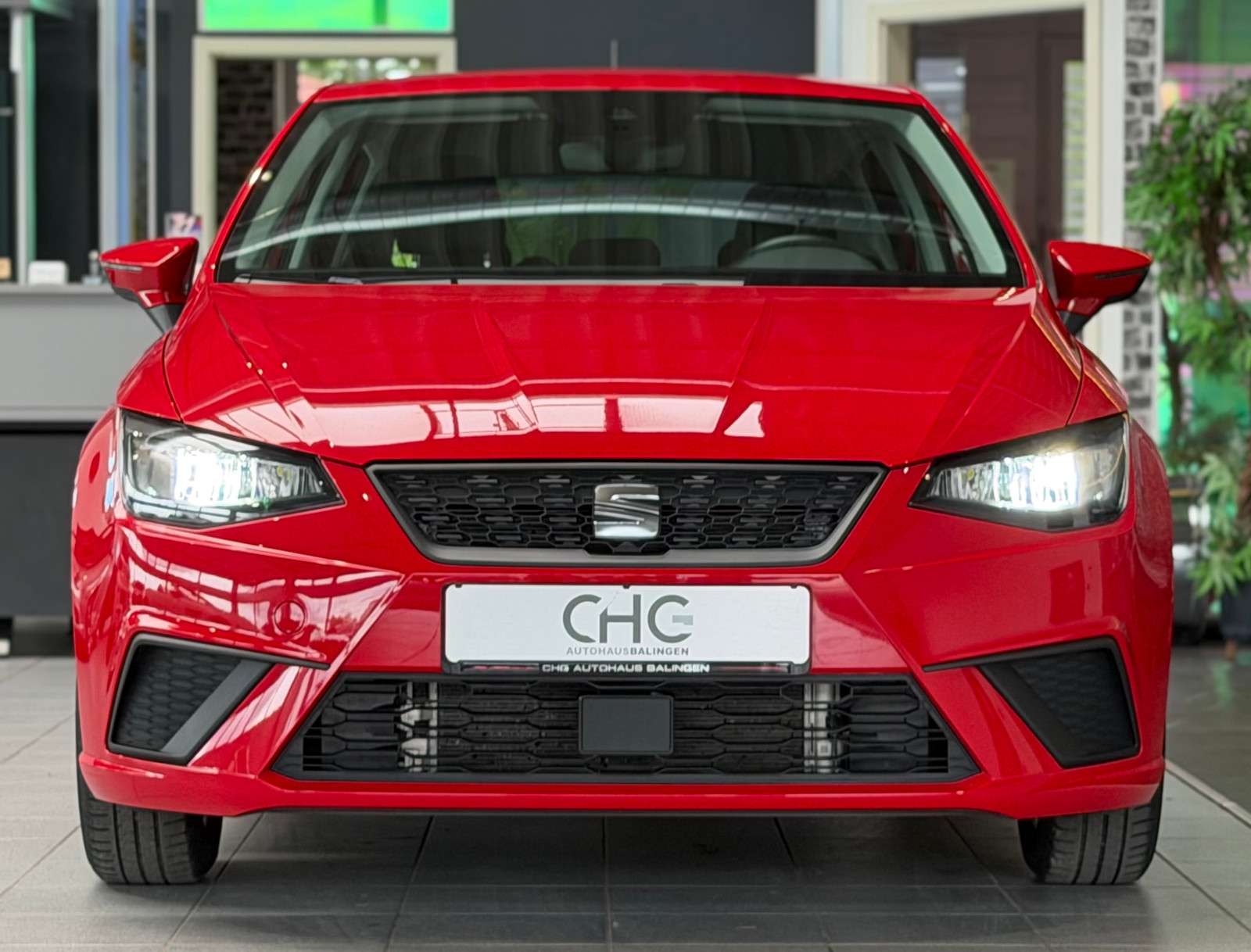 Fahrzeugbild eines SEAT Ibiza