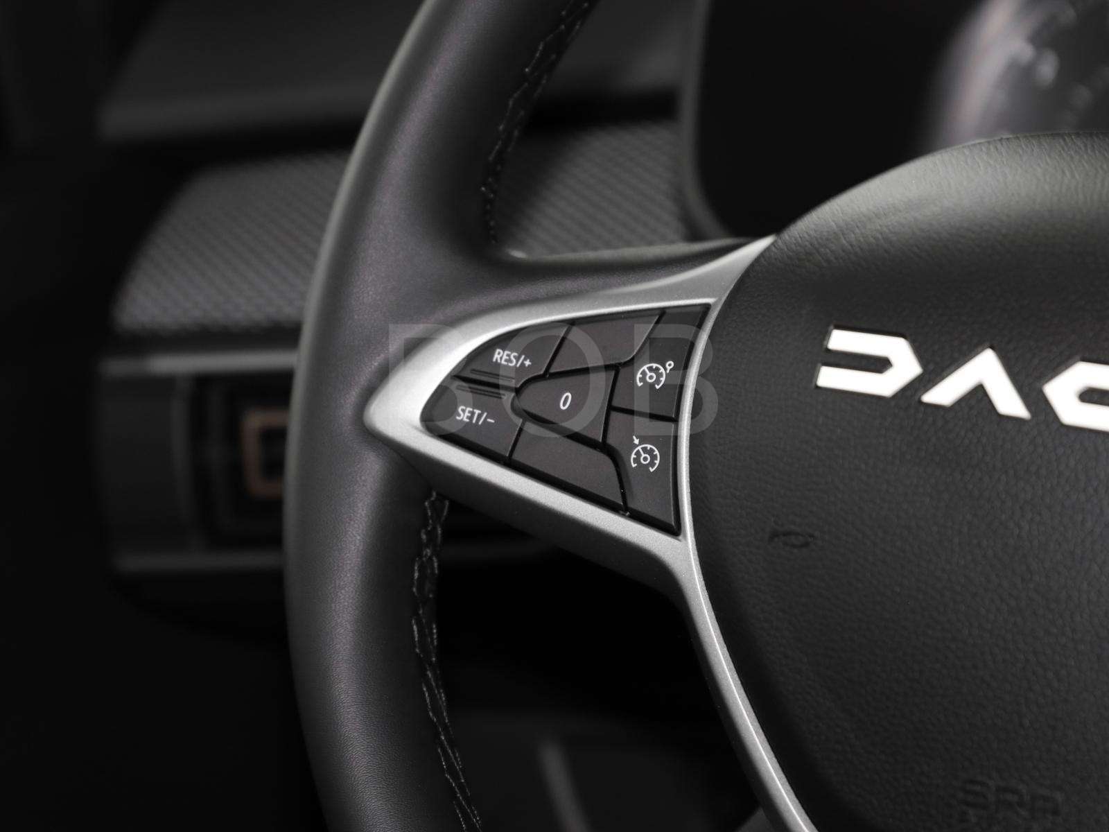 Fahrzeugbild eines Dacia Sandero