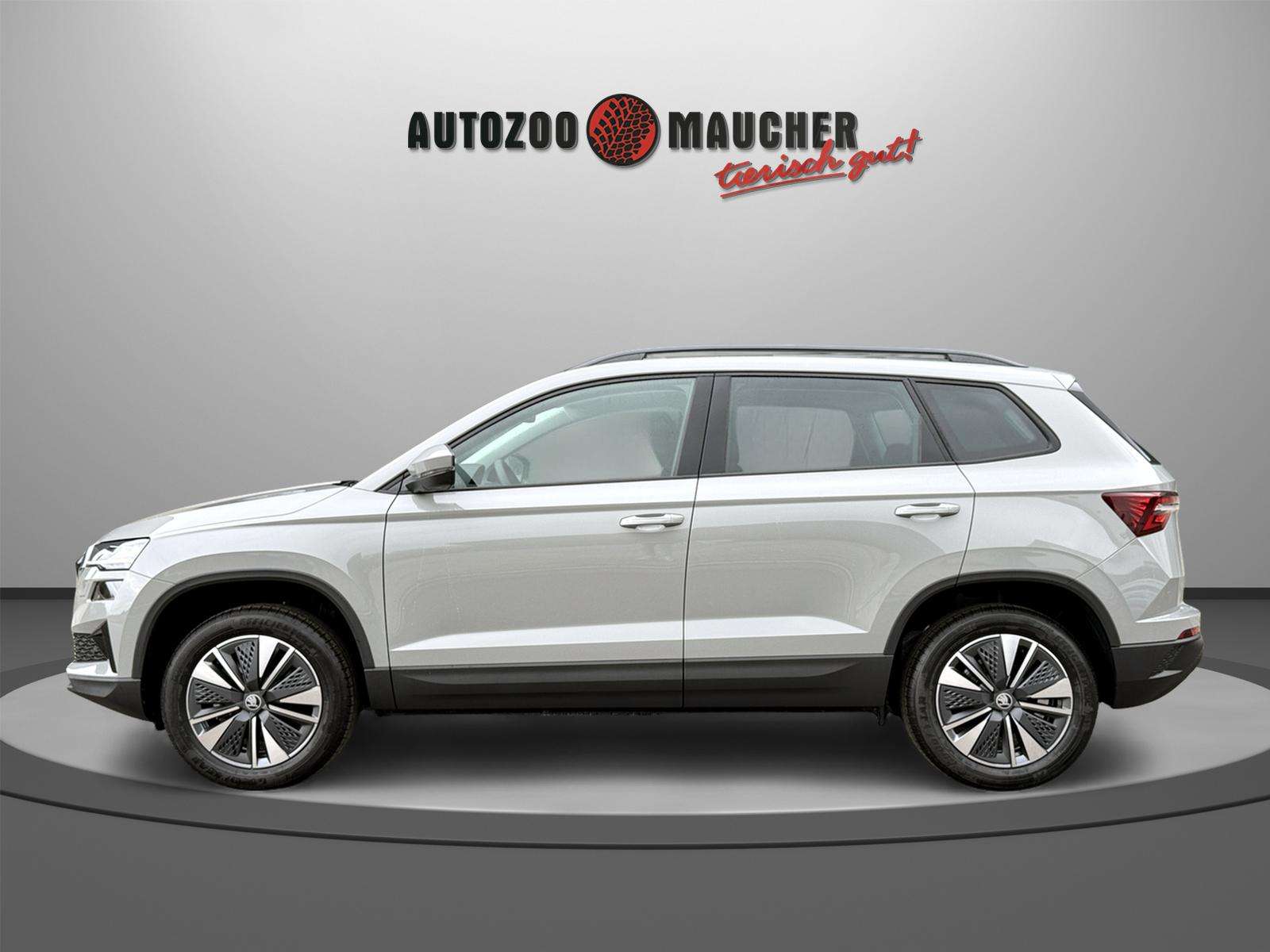 Fahrzeugbild eines Skoda Karoq