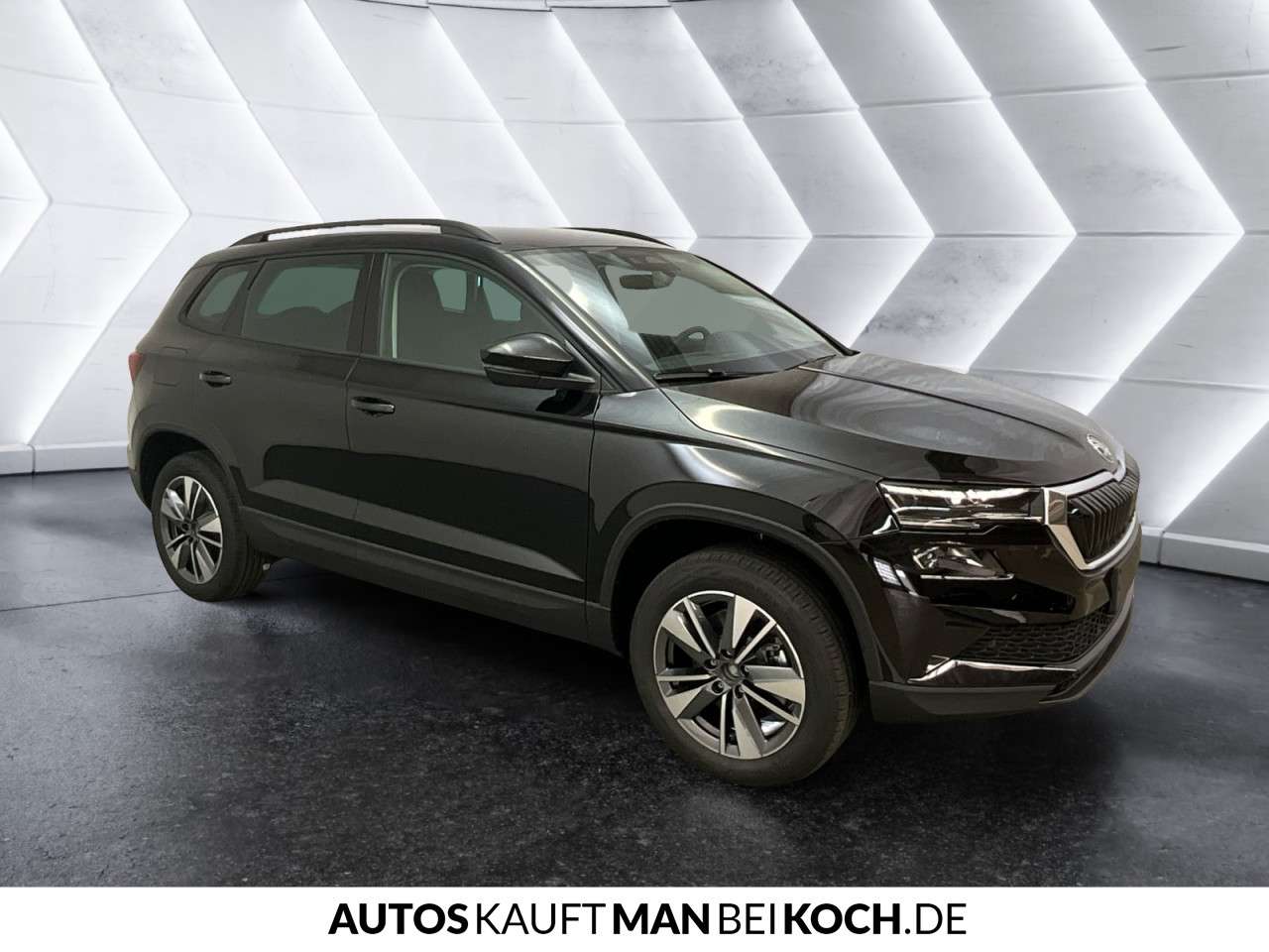 Fahrzeugbild eines Skoda Karoq
