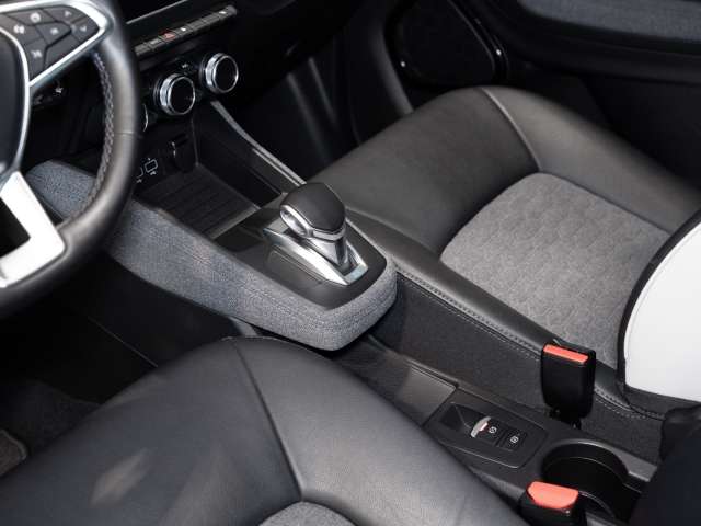 Fahrzeugbild eines Renault ZOE