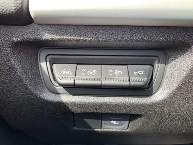 Fahrzeugbild eines Renault ZOE