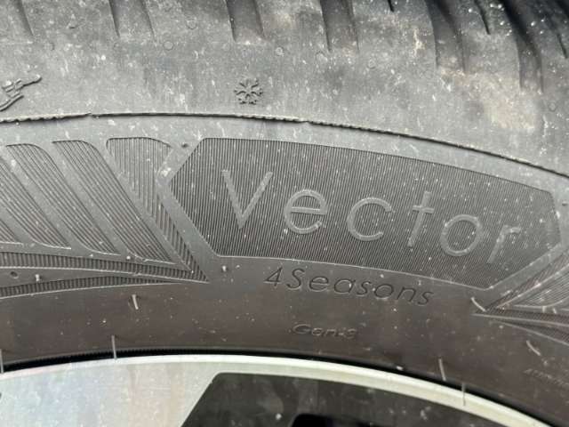 Fahrzeugbild eines Renault Austral