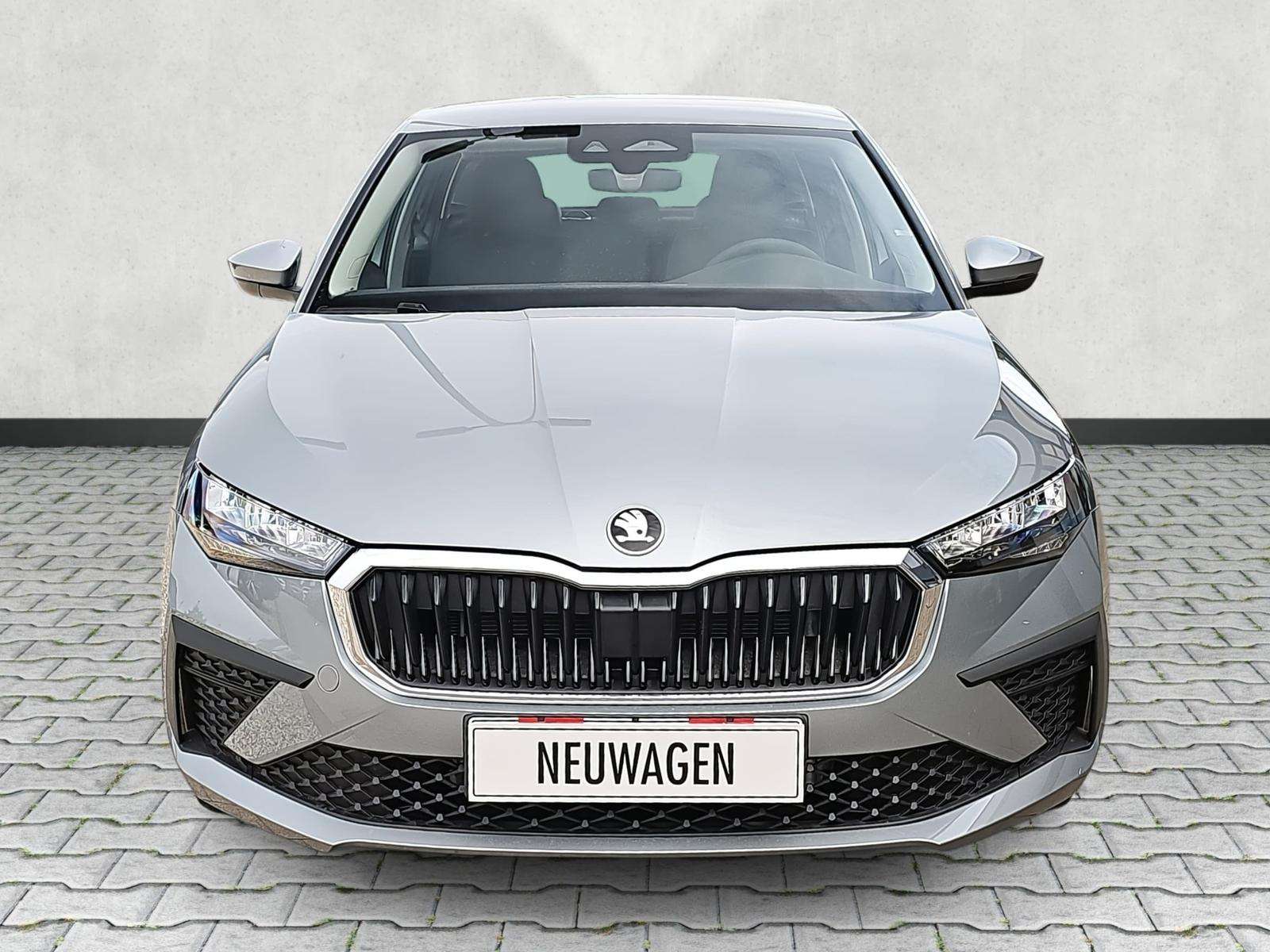 Fahrzeugbild eines Skoda Scala