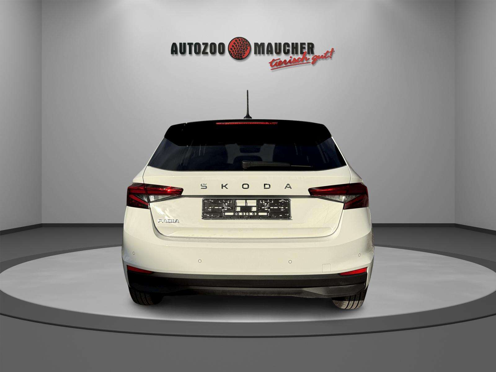 Fahrzeugbild eines Skoda Fabia