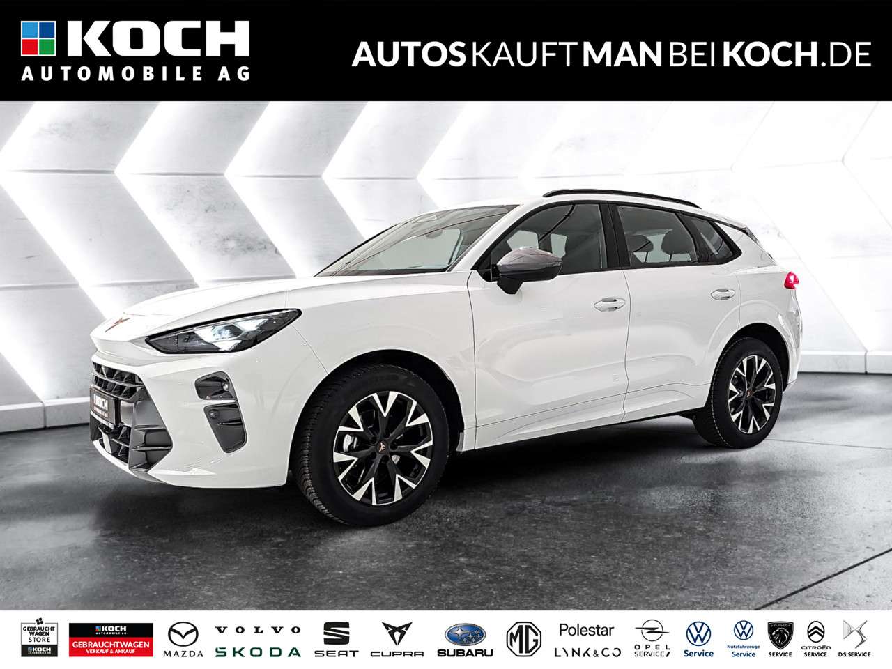 Fahrzeugbild eines CUPRA Terramar