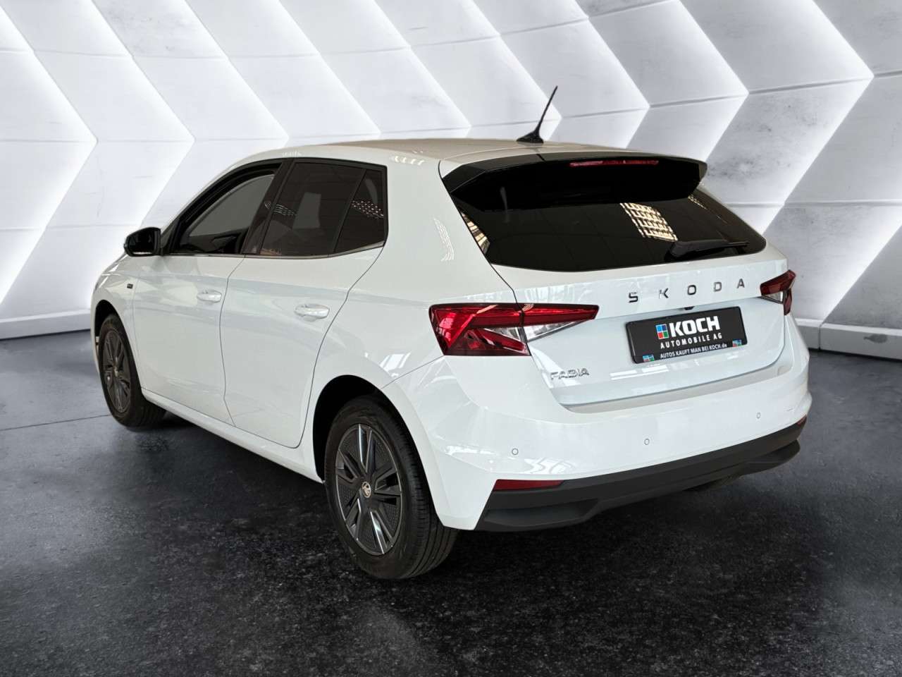 Fahrzeugbild eines Skoda Fabia