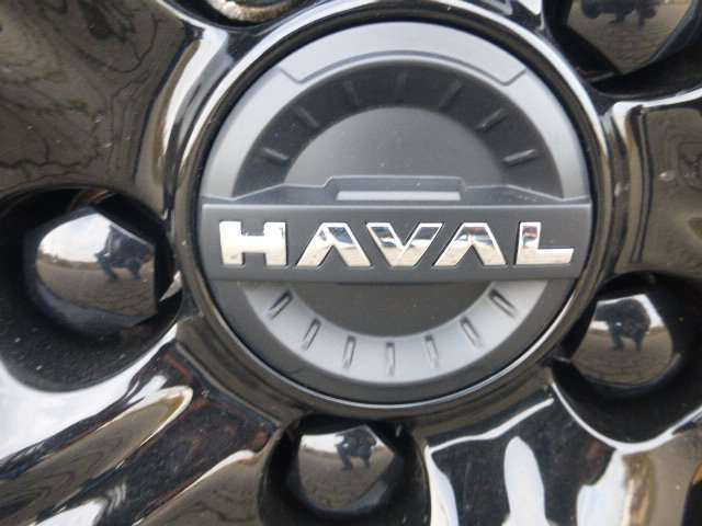 Fahrzeugbild eines GWM Haval H6