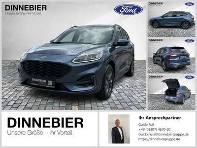 Bild Ford Kuga